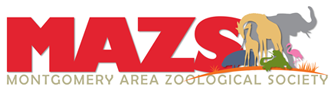 MAZS logo