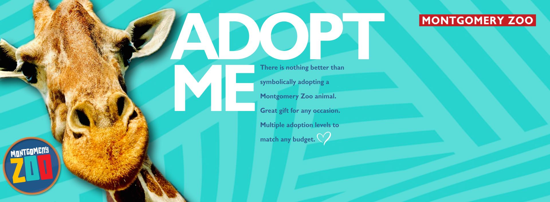 AnimalAdoption_2024 copy