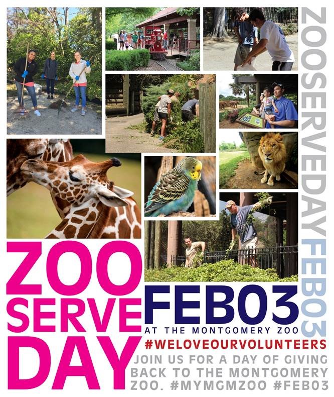 Zoo Serve Day 2018