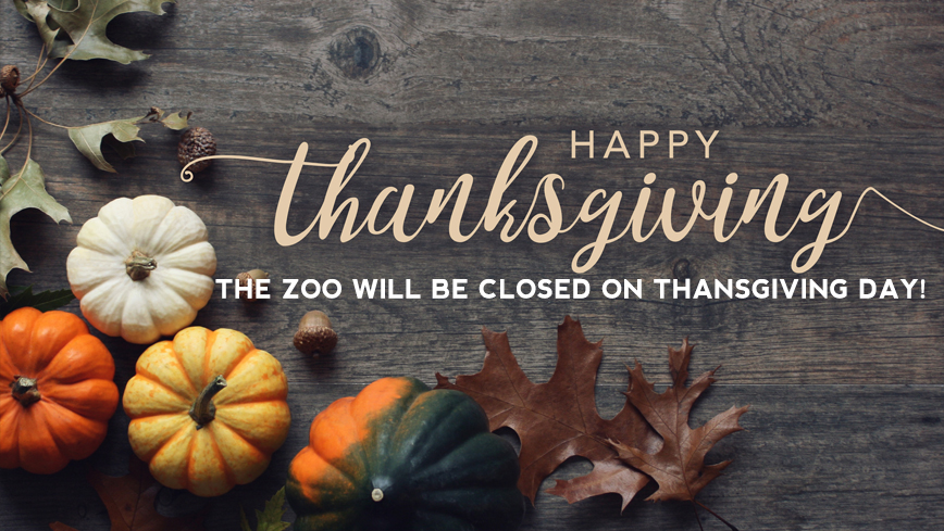 Thanksgiving Day, Zoo/Museum CLOSED